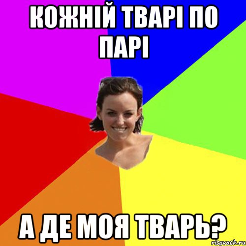 кожній тварі по парі а де моя тварь?