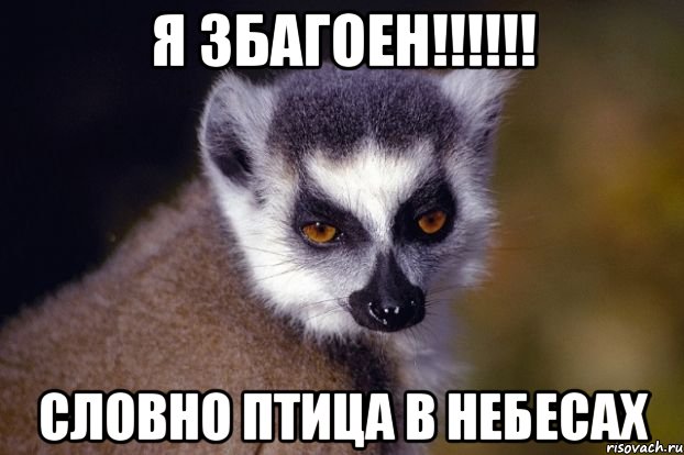 Я збагоен!!!!!! Словно птица в небесах