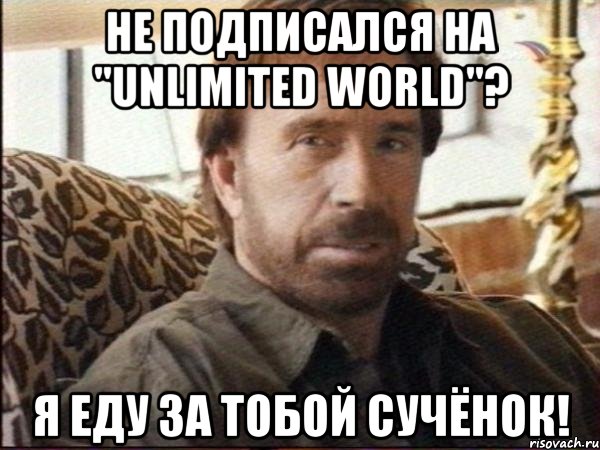 Не подписался на "Unlimited World"? Я еду за тобой сучёнок!, Мем чак норрис