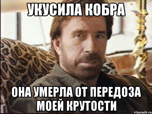 Укусила кобра Она умерла от передоза моей крутости