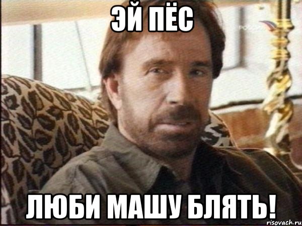 ЭЙ ПЁС ЛЮБИ МАШУ БЛЯТЬ!