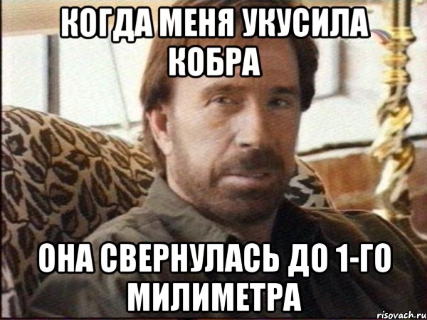 Когда меня укусила кобра Она свернулась до 1-го милиметра, Мем чак норрис