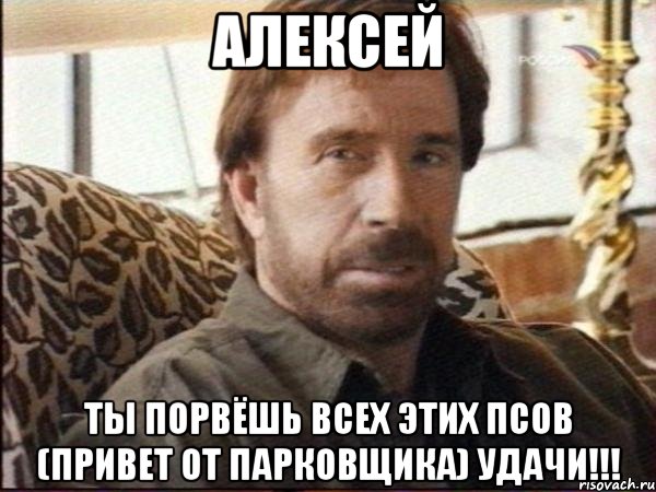 Алексей ты порвёшь всех этих псов (привет от Парковщика) Удачи!!!, Мем чак норрис