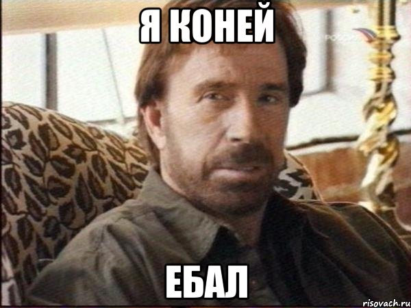 Я коней Ебал, Мем чак норрис