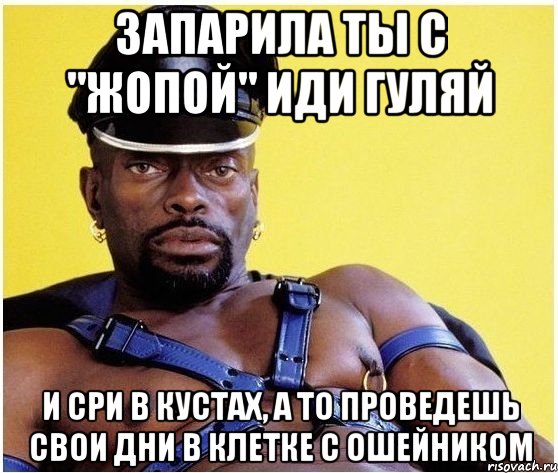 ЗАПАРИЛА ТЫ С "ЖОПОЙ" ИДИ ГУЛЯЙ И СРИ В КУСТАХ, А ТО ПРОВЕДЕШЬ СВОИ ДНИ В КЛЕТКЕ С ОШЕЙНИКОМ, Мем Черный властелин