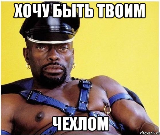 хочу быть твоим чехлом, Мем Черный властелин