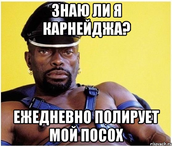 Знаю ли я карнейджа? Ежедневно полирует мой посох, Мем Черный властелин