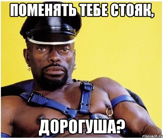 поменять тебе стояк, дорогуша?, Мем Черный властелин