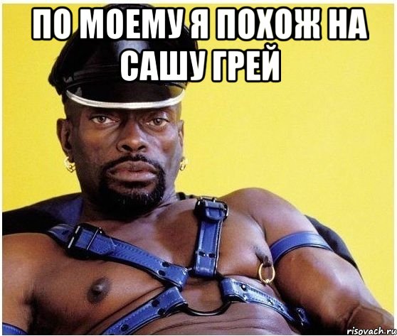 по моему я похож на Сашу Грей , Мем Черный властелин