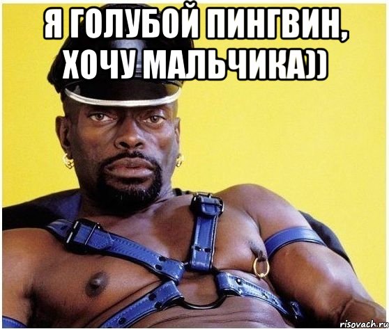 Я голубой пингвин, хочу мальчика)) , Мем Черный властелин