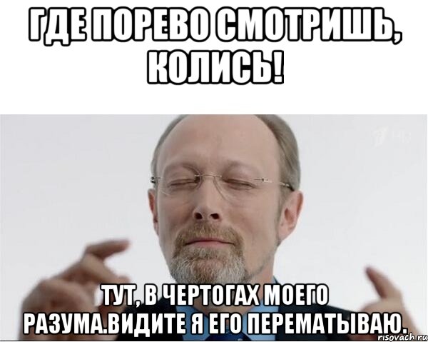 где порево смотришь, колись! тут, в чертогах моего разума.видите я его перематываю., Мем  чертоги разума