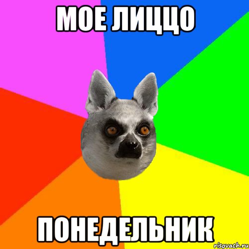Мое лиццо Понедельник