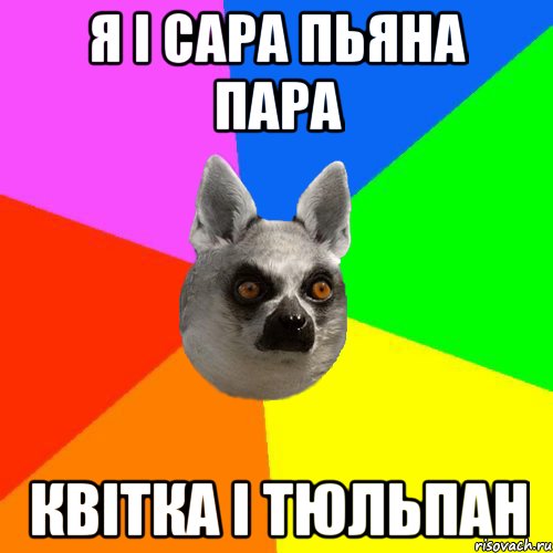 Я і Сара пьяна пара Квітка і тюльпан