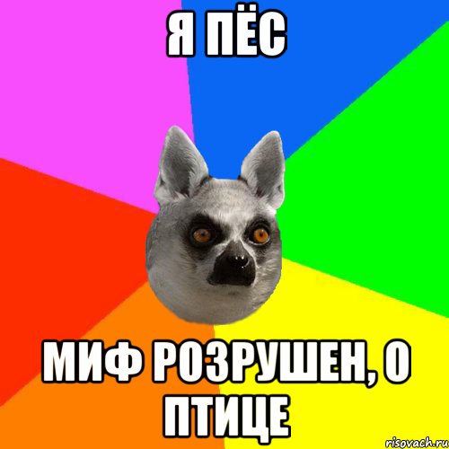 Я пёс Миф розрушен, о птице