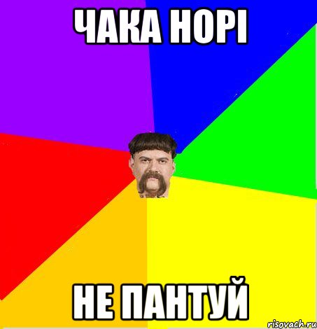 чака норі не пантуй