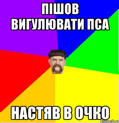 Пішов вигулювати пса настяв в очко