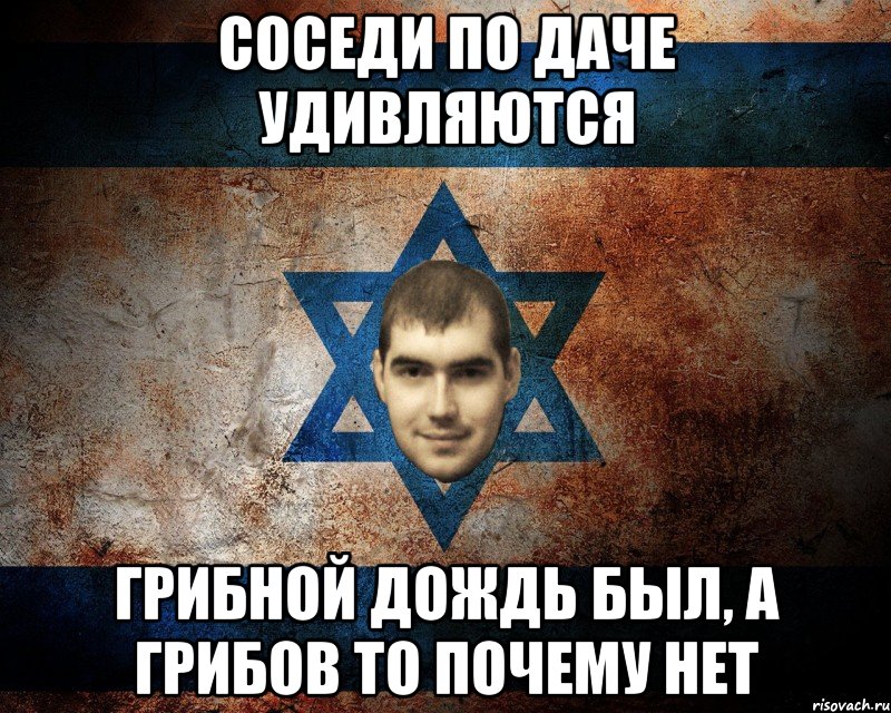 СОСЕДИ ПО ДАЧЕ УДИВЛЯЮТСЯ ГРИБНОЙ ДОЖДЬ БЫЛ, А ГРИБОВ ТО ПОЧЕМУ НЕТ