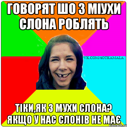 ГОВОРЯТ ШО З МІУХИ СЛОНА РОБЛЯТЬ ТІКИ,ЯК З МУХИ СЛОНА? ЯКЩО У НАС СЛОНІВ НЕ МАЄ