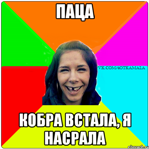 паца кобра встала, я насрала