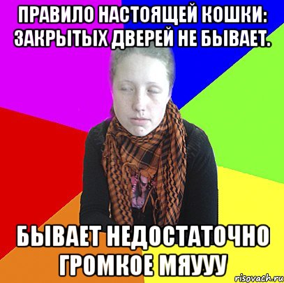 Правило настоящей кошки: Закрытых дверей не бывает. Бывает недостаточно громкое Мяууу