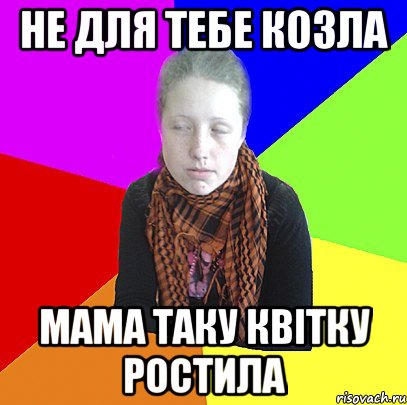 не для тебе козла мама таку квітку ростила