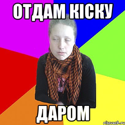 отдам кіску даром