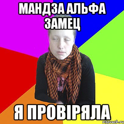 мандза альфа замец я провіряла