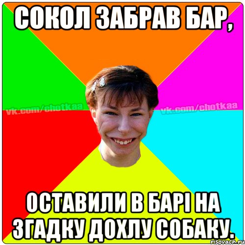 Сокол забрав бар, оставили в барі на згадку дохлу собаку., Мем Чотка тьола NEW