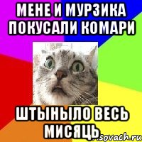 Мене и мурзика покусали комари штыныло весь мисяць