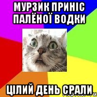 мурзик приніс палёної водки цілий день срали