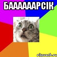 баааааарсік 