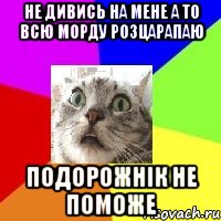 не дивись на мене а то всю морду розцарапаю подорожнік не поможе