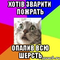 хотів зварити пожрать опалив всю шерсть