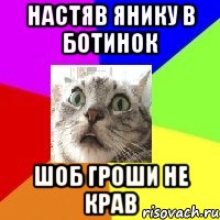 Настяв янику в ботинок Шоб гроши не крав