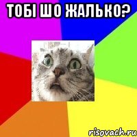 тобі шо жалько? 