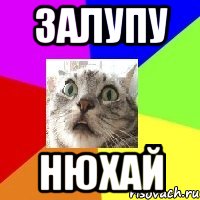 залупу нюхай