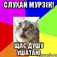 слухай мурзік! щас душу ушатаю