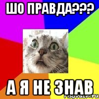 шо правда??? а я не знав