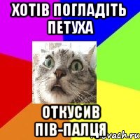 хотів погладіть петуха откусив пів-палця