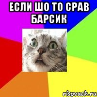 ЕСЛИ ШО ТО СРАВ БАРСИК 