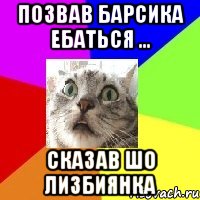 позвав барсика ебаться ... сказав шо лизбиянка