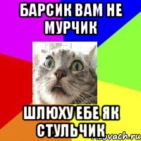 барсик вам не мурчик шлюху ебе як стульчик