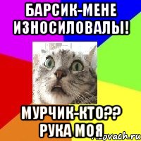 барсик-мене износиловалы! Мурчик-кто?? Рука моя