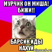 мурчик он миша! бижи!! барсик иды нахуй