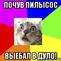 почув пилысос выебал в дуло!
