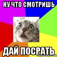 Ну что смотришь Дай посрать