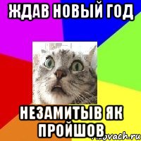 ждав новый год незамитыв як пройшов