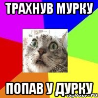 трахнув мурку попав у дурку
