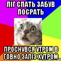 ліг спать забув посрать проснувся утром в говно заліз хутром