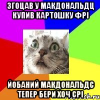 згоцав у макдональдц купив картошку фрі йобаний макдональдс тепер бери хоч срі